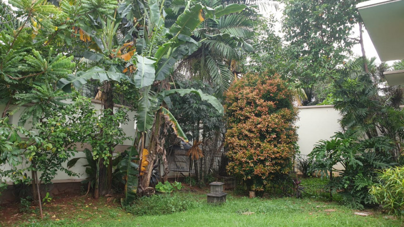 Rumah Bagus Di Lebak Bulus DKI Jakarta Selatan