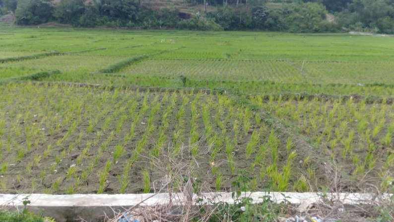 Jual Tanah di Toba Samosir Medan  Ls. 2300 meter