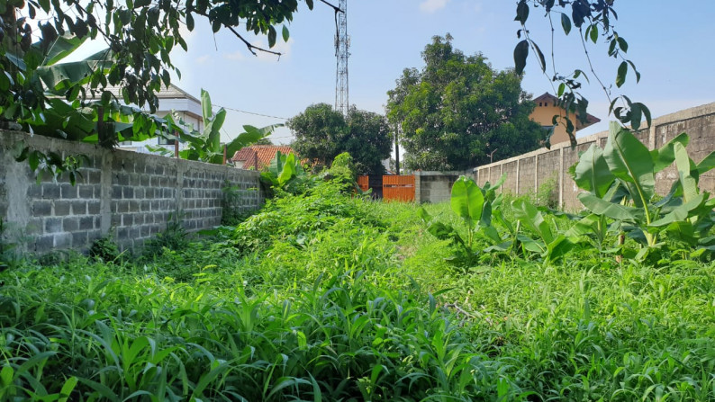 Kavling Siap Bangun, Cocok Untuk Kontrakan, dan Dekat Bintaro Jaya @Pondok Pucung