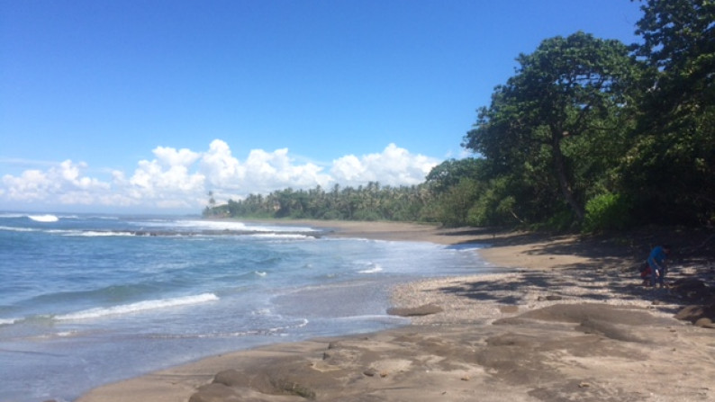 Amazing 37,915 Sqm Beachfront Freehold Land In Jembrana Negara