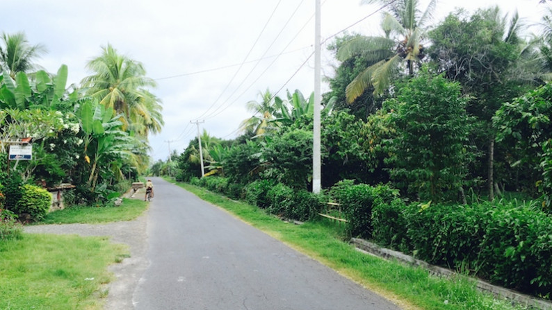 Amazing 37,915 Sqm Beachfront Freehold Land In Jembrana Negara