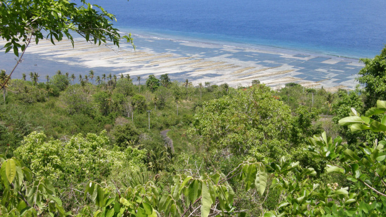 Super Sea view Plot, on Northeast Nusa Penida Island, Bali