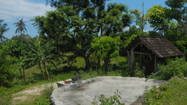 Cliff Top Land, One Hectar Freehold  Nusa Penida, Bali