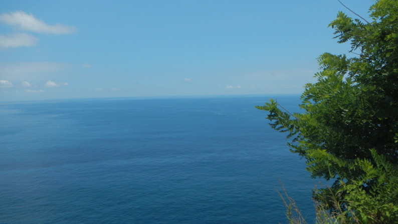 Cliff Top Land, One Hectar Freehold  Nusa Penida, Bali