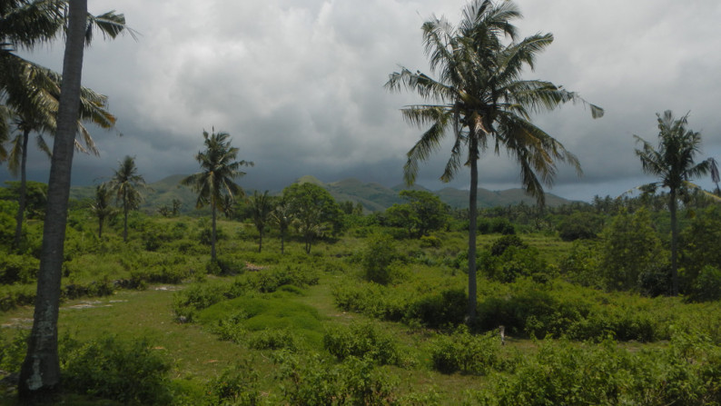 Cliff Top Land, One Hectar Freehold  Nusa Penida, Bali