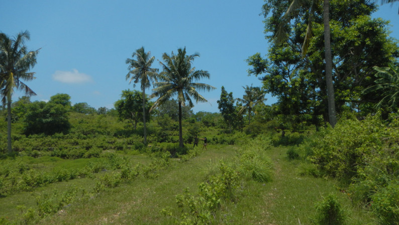 Cliff Top Land, One Hectar Freehold  Nusa Penida, Bali