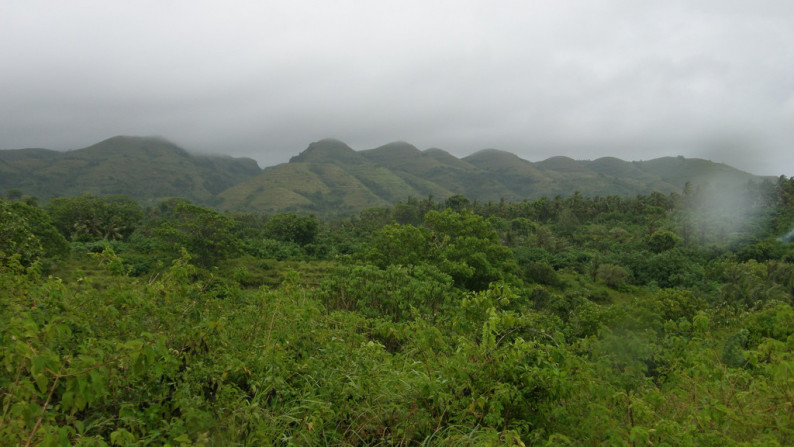 Cliff Top Land, One Hectar Freehold  Nusa Penida, Bali