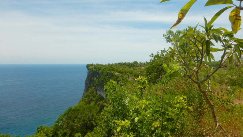 Cliff Top Land, One Hectar Freehold  Nusa Penida, Bali