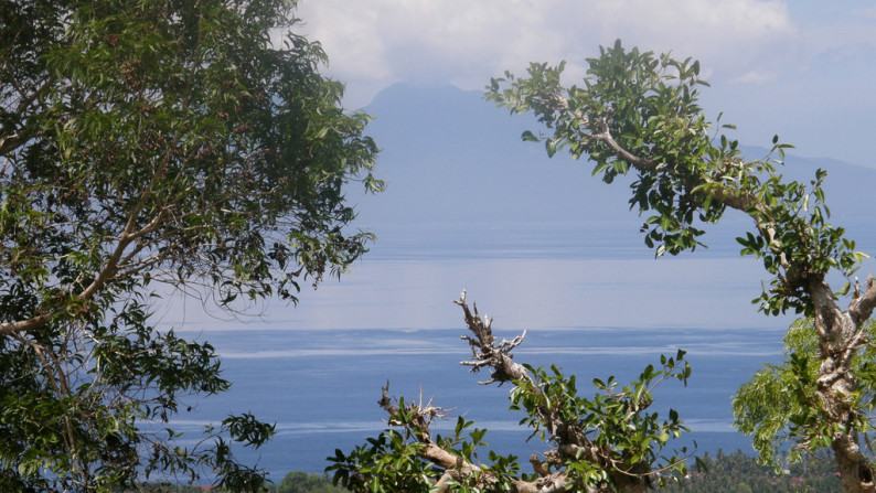 Nusa Penida-13500 Sqm  Sea View Hilltop Plot