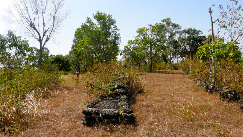 Nusa Penida-13500 Sqm  Sea View Hilltop Plot