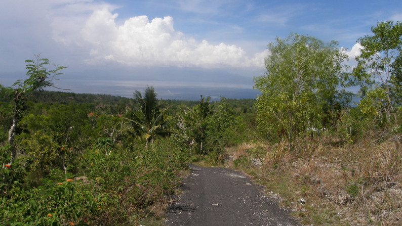 Nusa Penida-13500 Sqm  Sea View Hilltop Plot