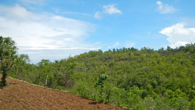 Nusa Penida-13500 Sqm  Sea View Hilltop Plot