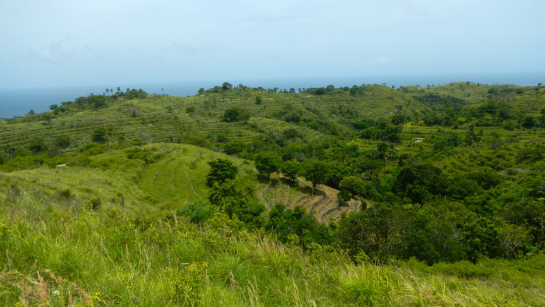 Nusa Penida-Super Offer 4.047 Hectare Investment opportunity!