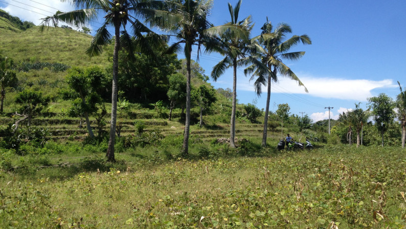 Nusa Penida-Super Offer 4.047 Hectare Investment opportunity!