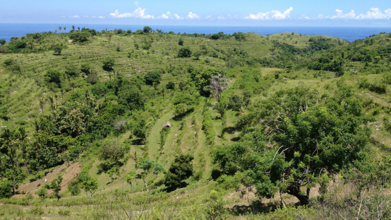 Nusa Penida-Super Offer 4.047 Hectare Investment opportunity!