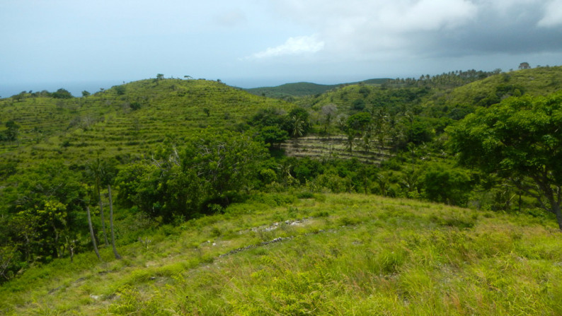 Nusa Penida-Super Offer 4.047 Hectare Investment opportunity!