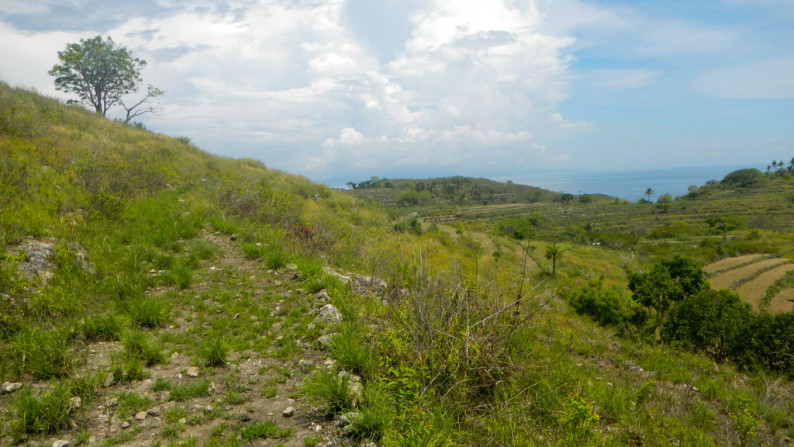 Nusa Penida-Super Offer 4.047 Hectare Investment opportunity!