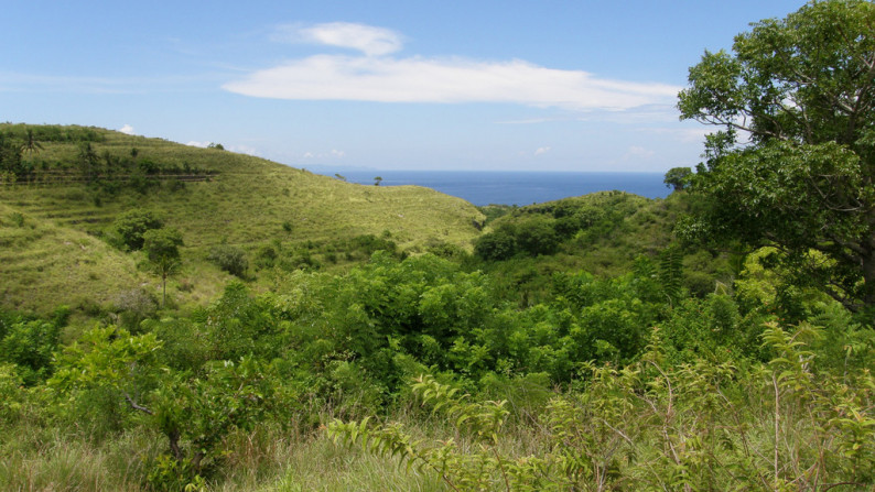 Nusa Penida-Super Offer 4.047 Hectare Investment opportunity!