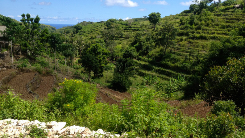 Nusa Penida-Super Offer 4.047 Hectare Investment opportunity!