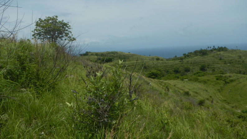 Nusa Penida-Super Offer 4.047 Hectare Investment opportunity!