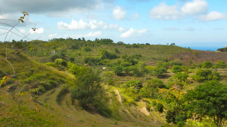 Nusa Penida-Super Offer 4.047 Hectare Investment opportunity!