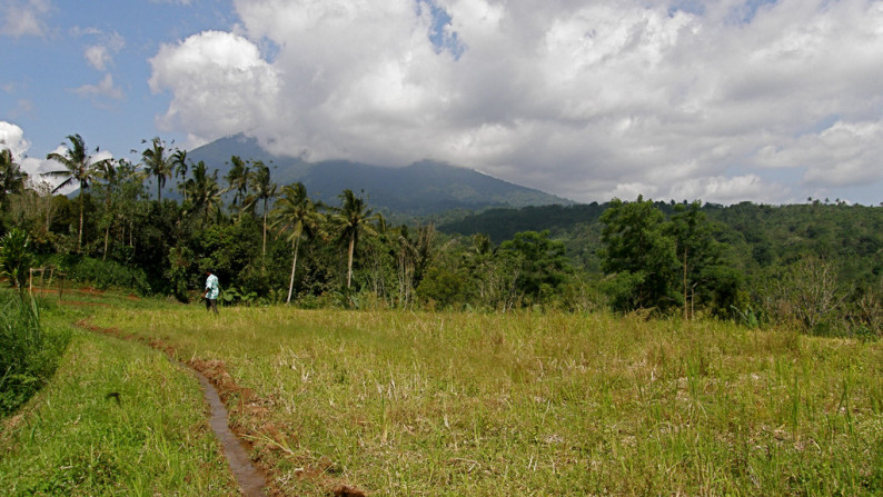 Absolute Natural Set 7450 Sqm Freehold Land in Sanda  Tabanan