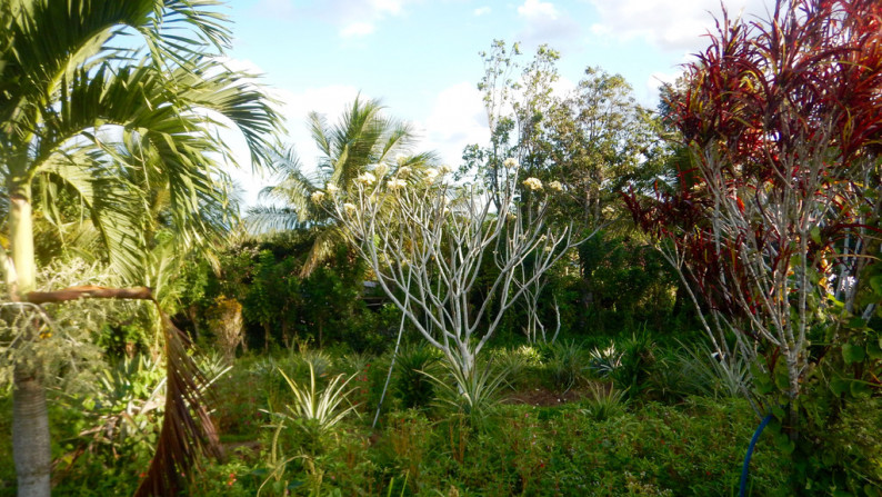 Angka Gardens, 4650 sqm, Tabanan, Bali