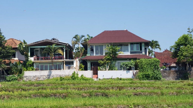 Charming Property 5 Bedroom in Tiying Tutul Canggu