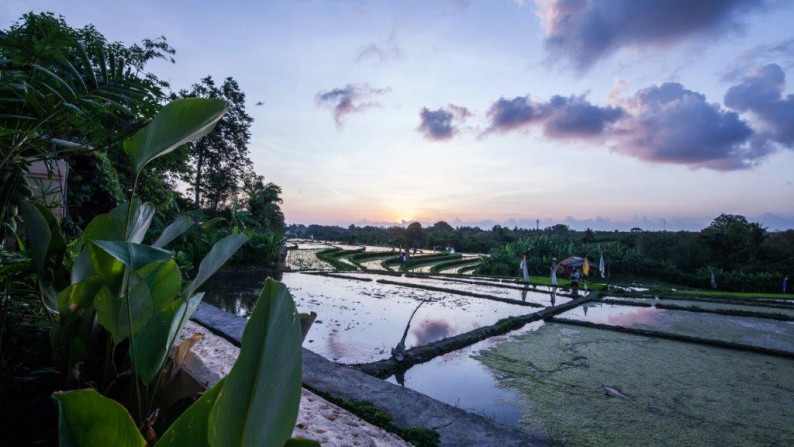 Charming Property 5 Bedroom in Tiying Tutul Canggu