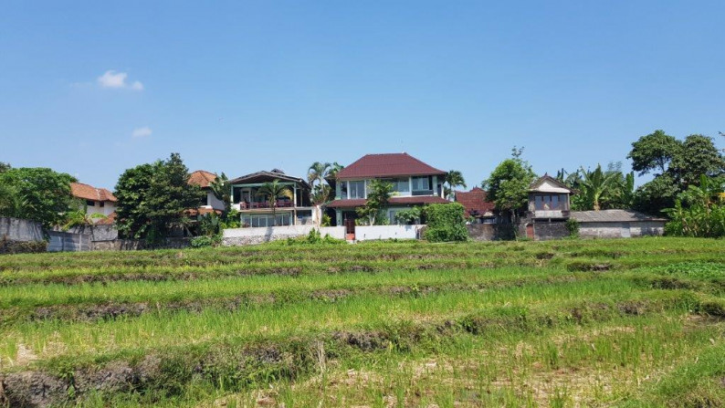 Charming Property 5 Bedroom in Tiying Tutul Canggu