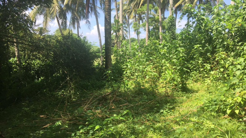 Freehold land 1000 sqm in Antap Tabanan at tidal lagoon