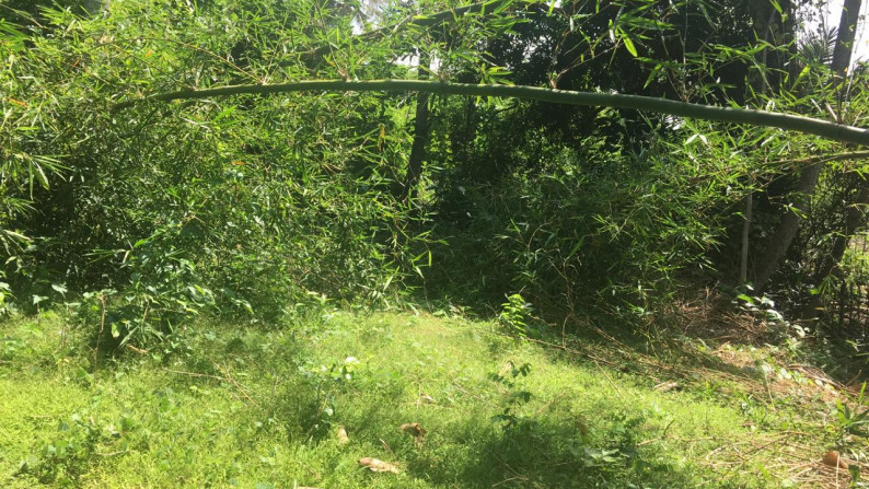 Freehold land 1000 sqm in Antap Tabanan at tidal lagoon