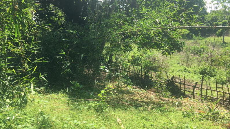 Freehold land 1000 sqm in Antap Tabanan at tidal lagoon