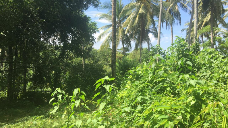 Freehold land 1000 sqm in Antap Tabanan at tidal lagoon