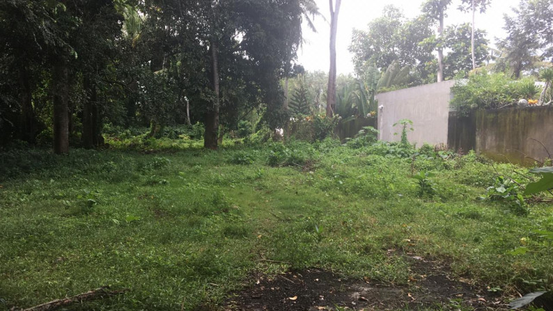 Freehold Riverside land 2100 sqm, Near Ocean in Traditional Village Beraban Tabanan