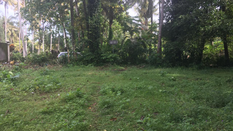 Freehold Riverside land 2100 sqm, Near Ocean in Traditional Village Beraban Tabanan