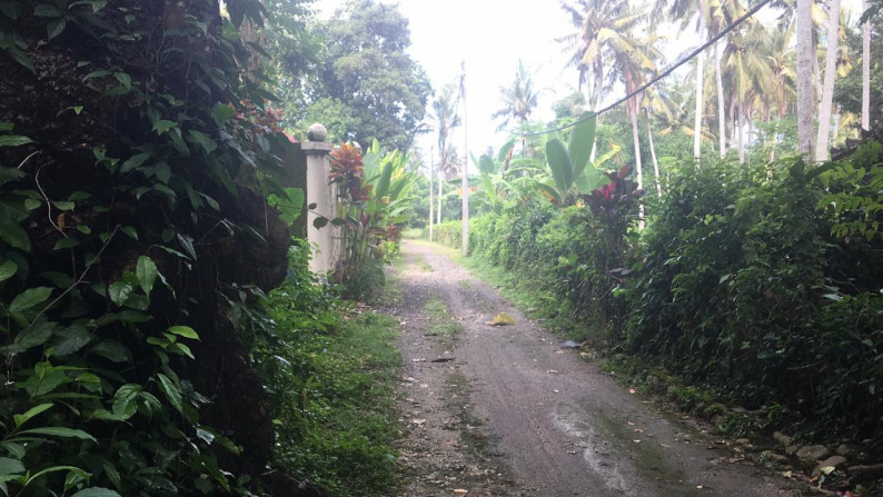 Freehold Riverside land 2100 sqm, Near Ocean in Traditional Village Beraban Tabanan