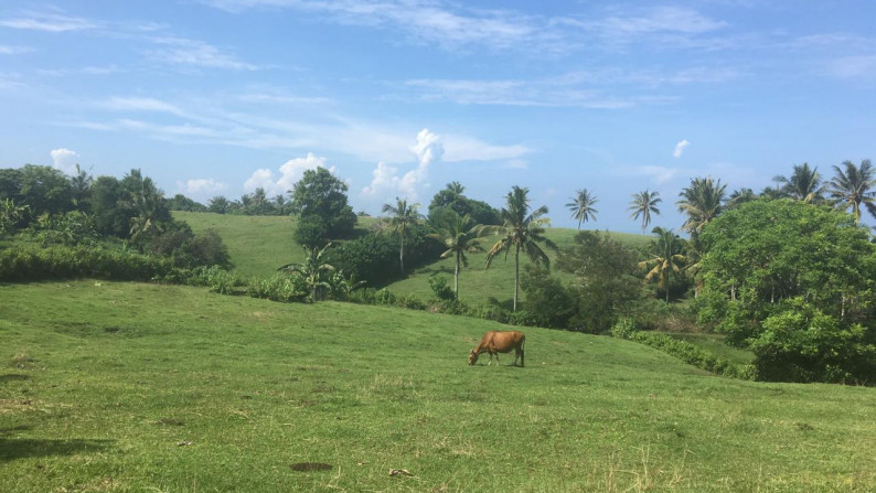 Freehold beachfront land 750 sqm on panoramic hilltop in Kelecung Tabanan