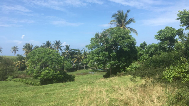 Freehold beachfront land 750 sqm on panoramic hilltop in Kelecung Tabanan