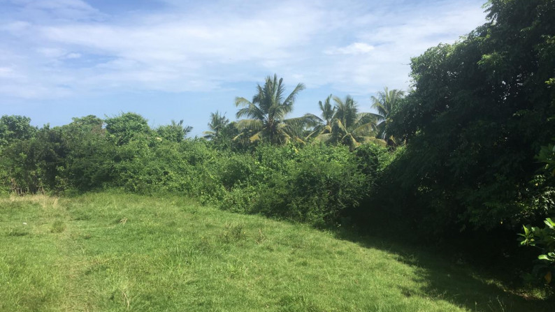 Freehold beachfront land 750 sqm on panoramic hilltop in Kelecung Tabanan