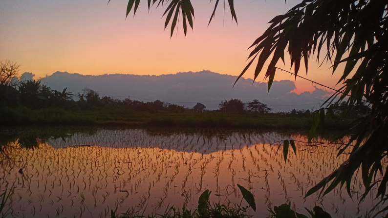 2400 Sqm Freehold Land in Klotok Klungkung Bali