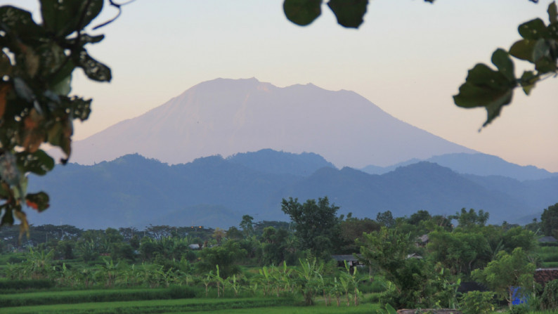 2400 Sqm Freehold Land in Klotok Klungkung Bali