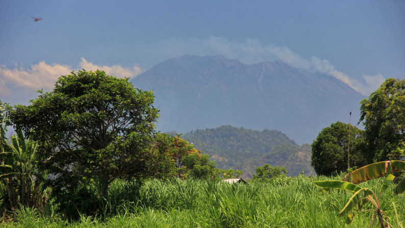 2400 Sqm Freehold Land in Klotok Klungkung Bali