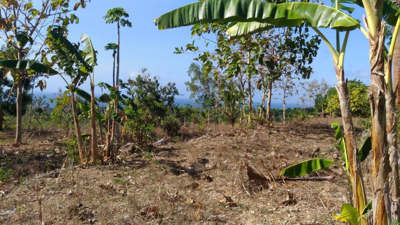 9000 Sqm Land Freehold In Kutampi Kaler Nusa Penida