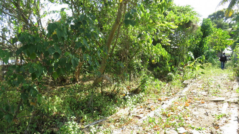 1800 Sqm Land Freehold In Tanah Lot