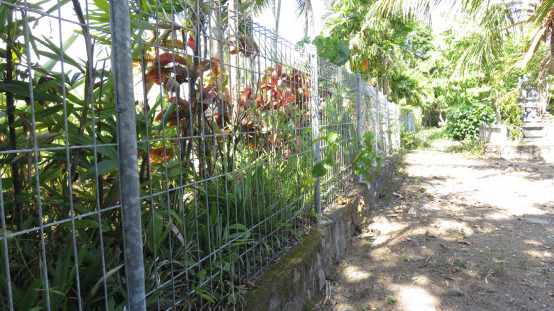 1800 Sqm Land Freehold In Tanah Lot