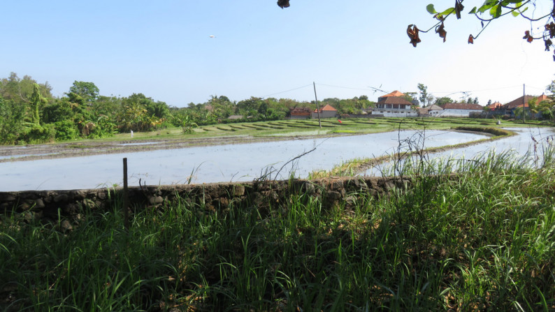 1800 Sqm Land Freehold In Tanah Lot