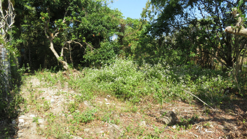 1800 Sqm Land Freehold In Tanah Lot