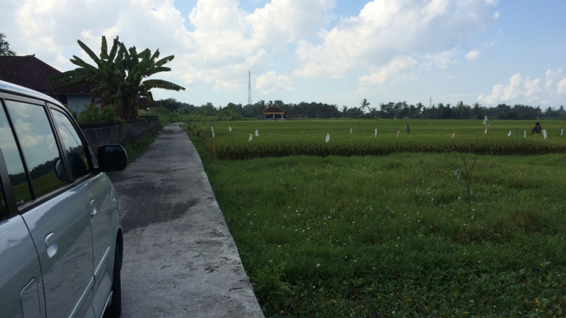 Freehold Land For Sale In Kedungu  With Rice Field Views