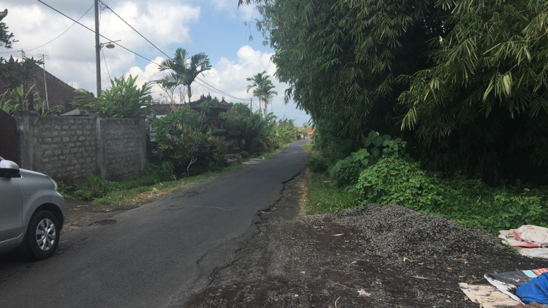 Land Freehold 5050 Sqm In Tabanan